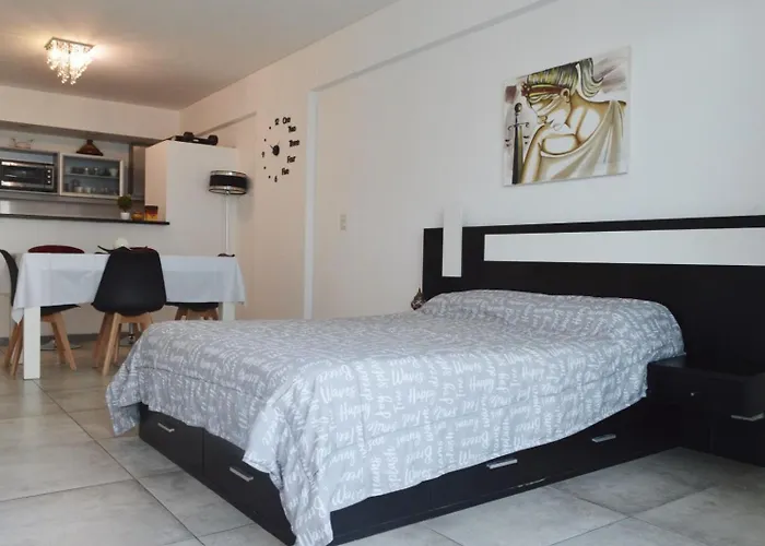 Departamento Moderno De Categoria